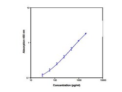 Novus Biologicals™ Rat IL-1 beta/IL-1F2 ELISA Kit (Colorimetric)
